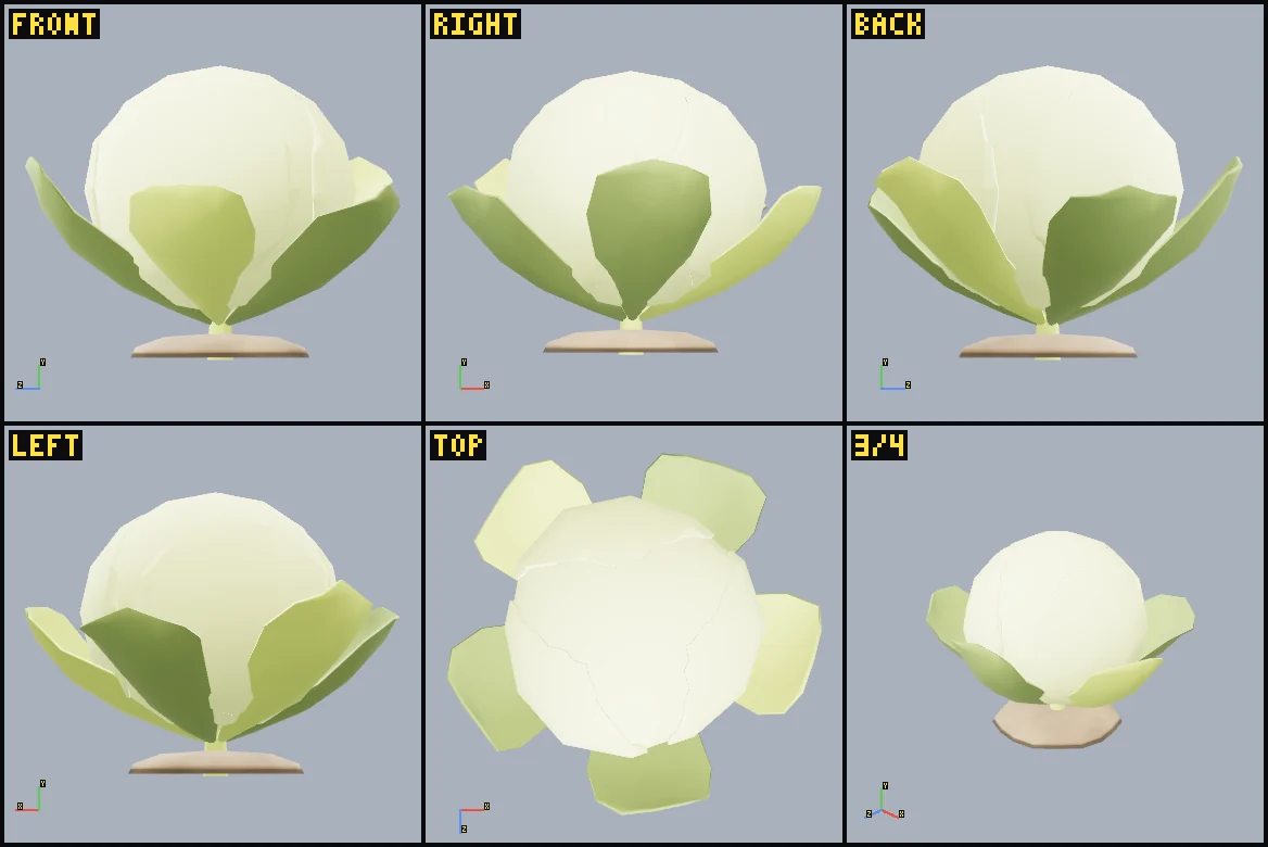 Six rendered review views of cabbage-stage-4.