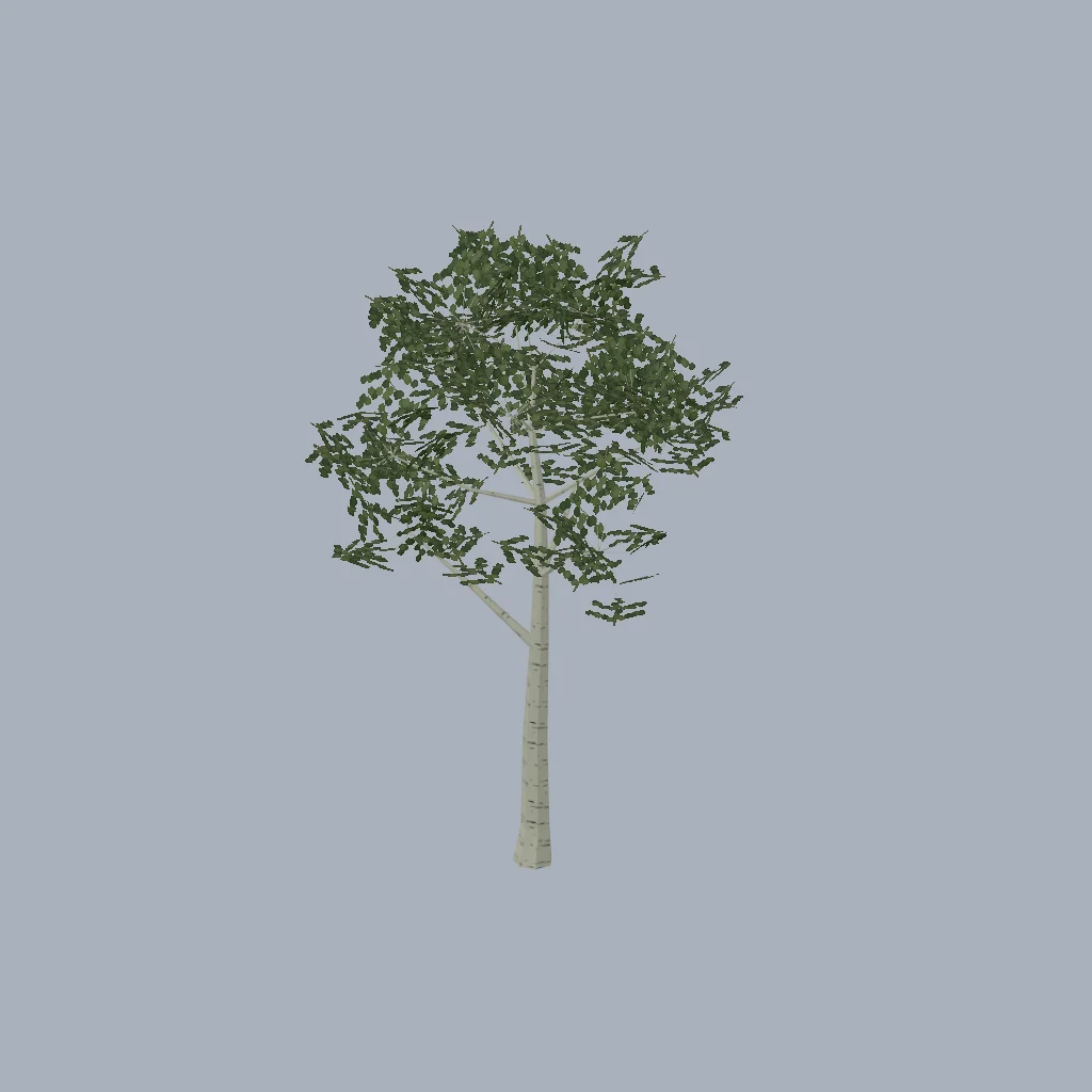 An original pale scarred birch with connected low-poly forks and an irregular olive cutout canopy. 2,256 triangles, two mesh/material groups.