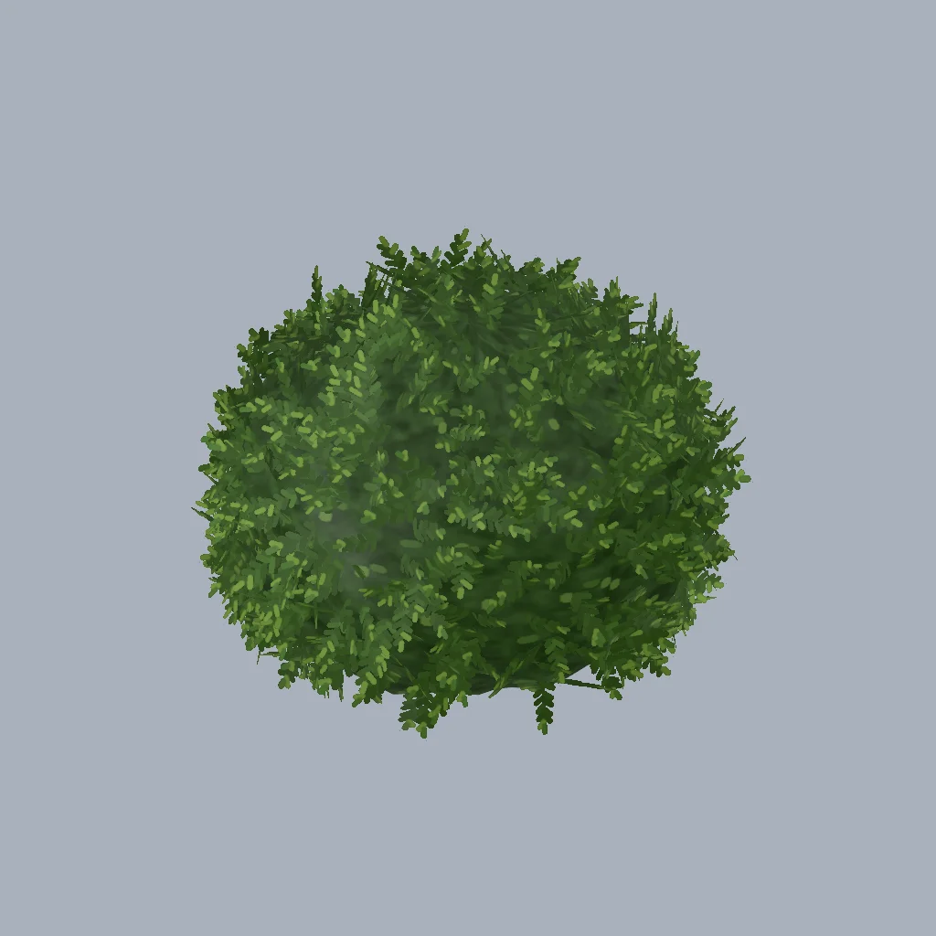 A clipped boxwood ball shrub.